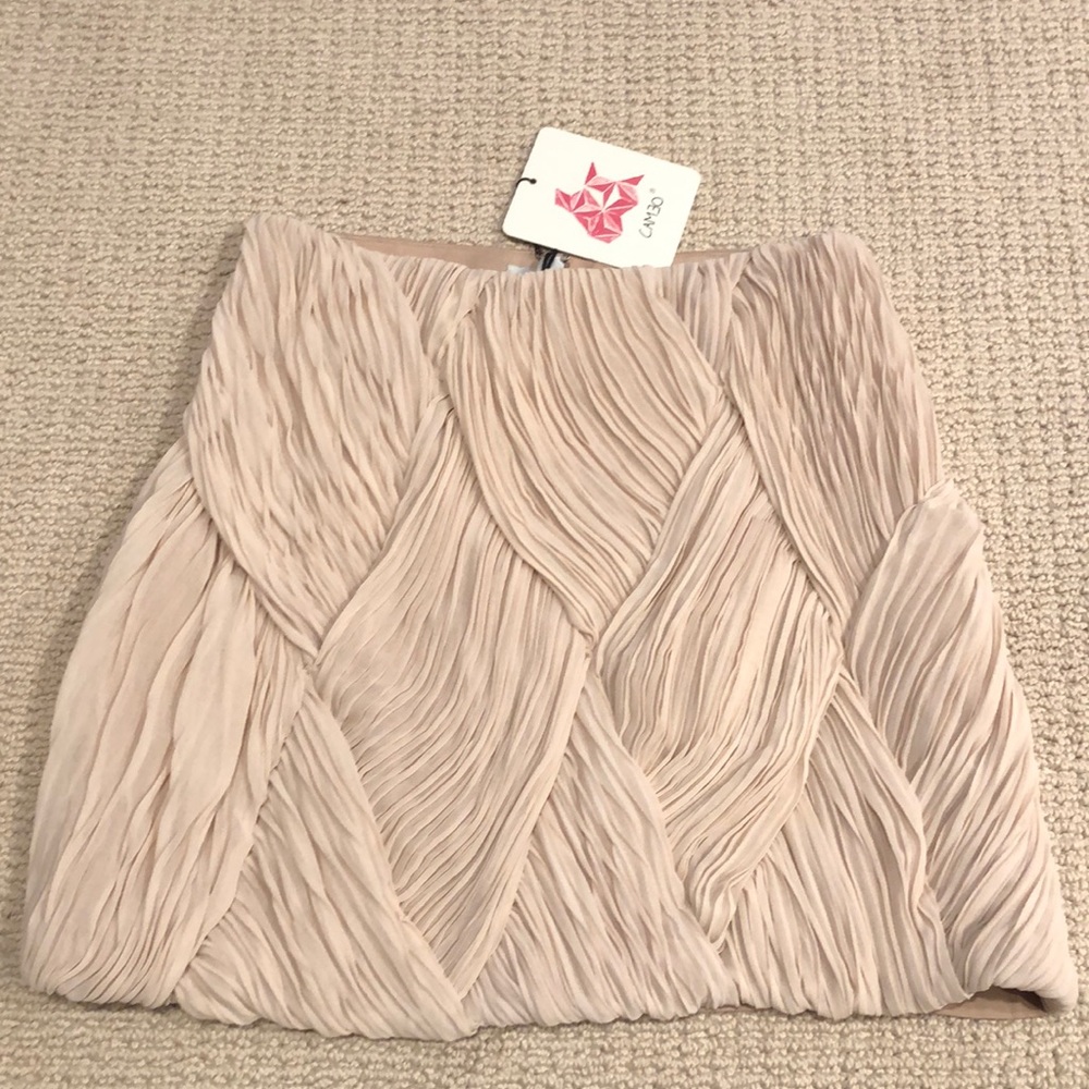 Cameo the label ABC Skirt